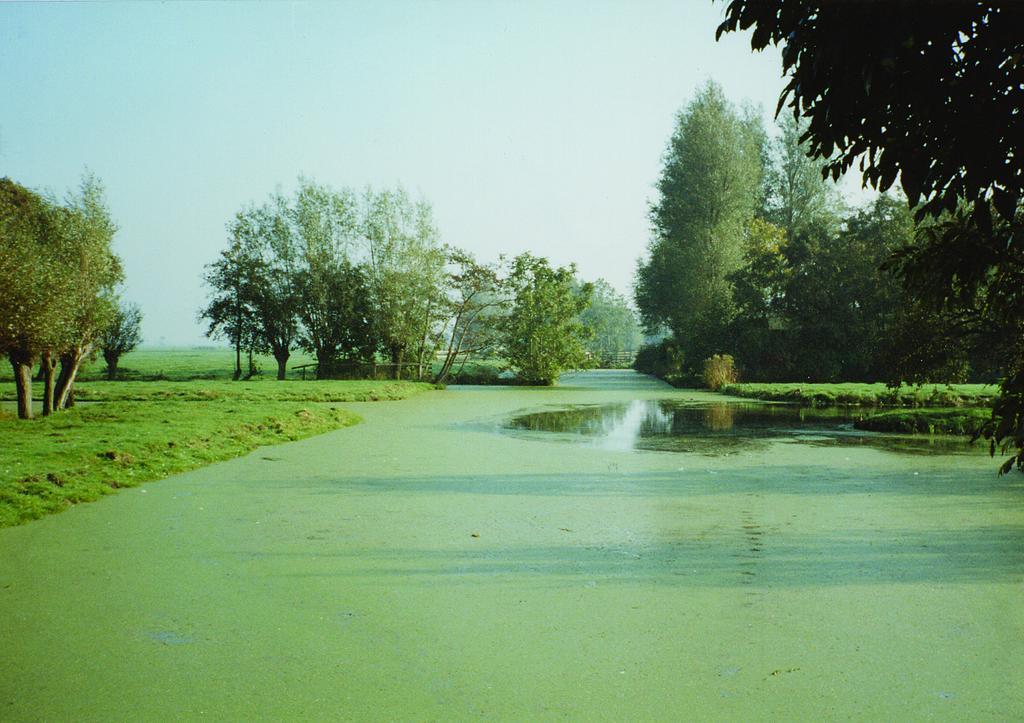 De Boomgaard Groene Hart Polsbroekerdam 외부 사진