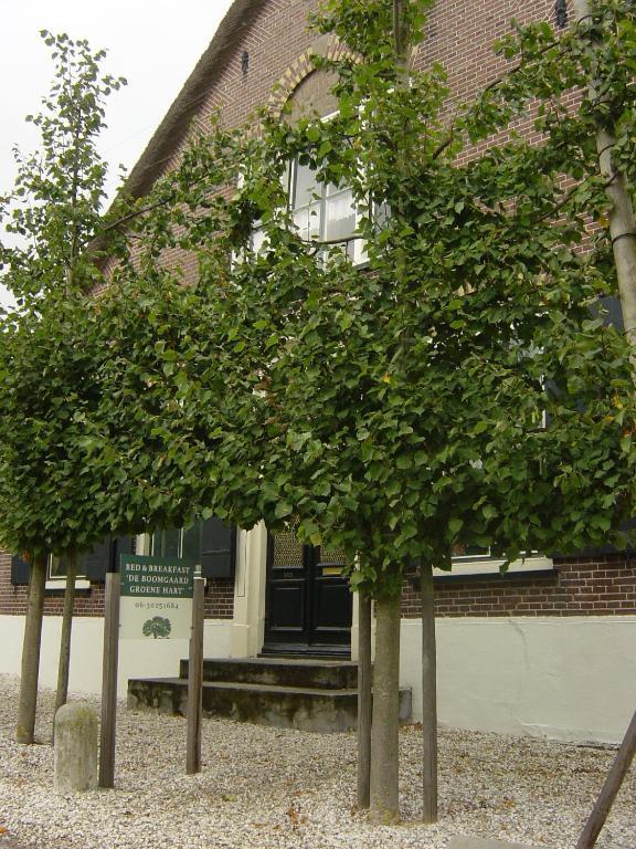 De Boomgaard Groene Hart Polsbroekerdam 외부 사진